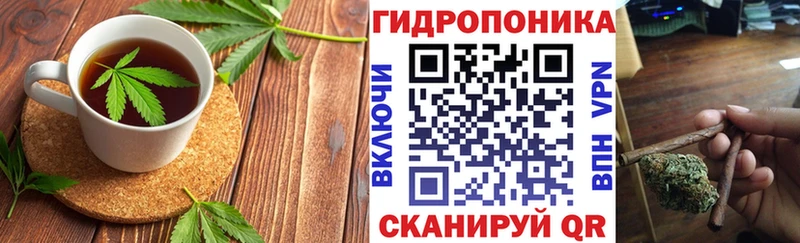Canna-Cookies конопля  наркотики  Оленегорск 